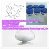 Terlipressin Acetate 